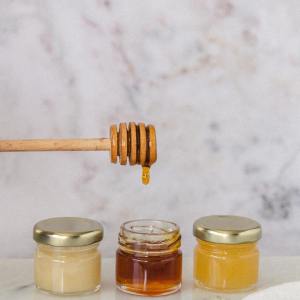 Beekeeping and honey tour in Spain