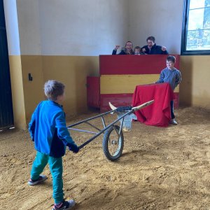 Bulls and Horses farm tour