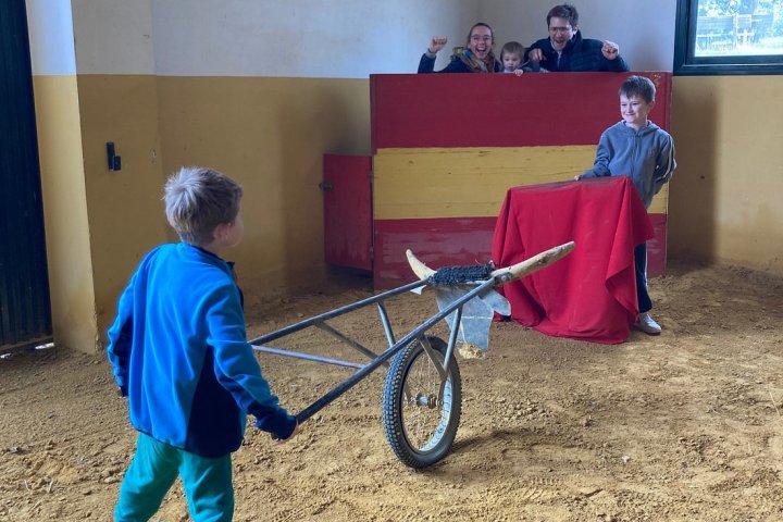 Bulls and Horses farm tour