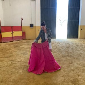 Bulls and Horses farm tour