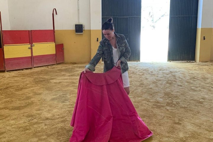 Bulls and Horses farm tour