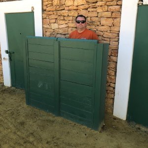 Bulls and Horses farm tour