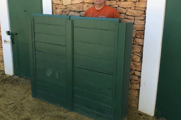 Bulls and Horses farm tour