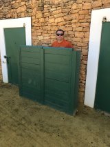 Bulls and Horses farm tour