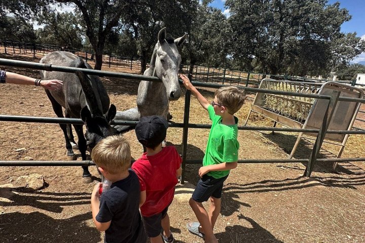 Bulls and Horses farm tour