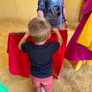 Bulls and Horses farm tour