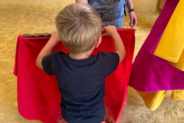 Bulls and Horses farm tour