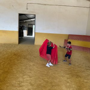 Bulls and Horses farm tour