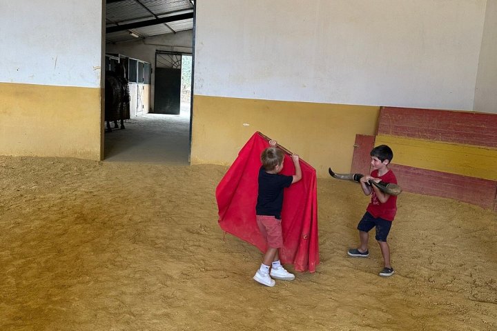 Bulls and Horses farm tour