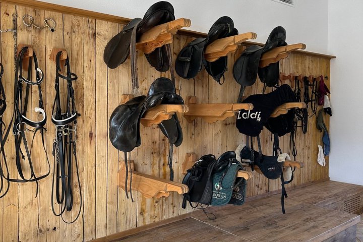 Bulls and Horses farm tour