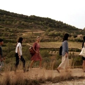 Edible & Medicinal Wild Plants tour