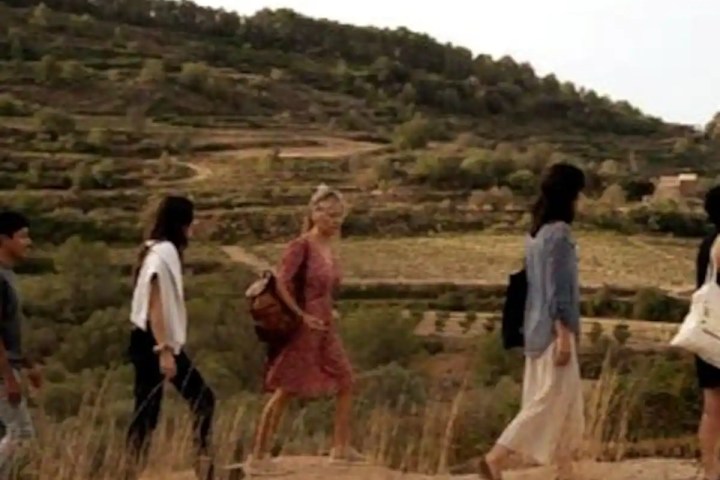 Edible & Medicinal Wild Plants tour