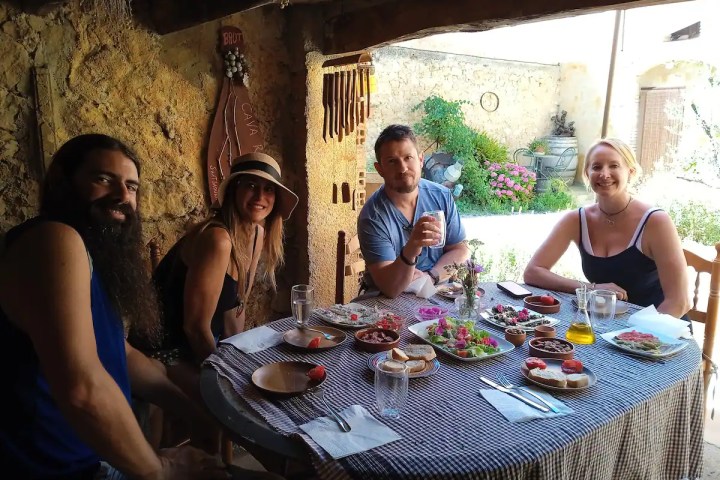 Edible & Medicinal Wild Plants tour