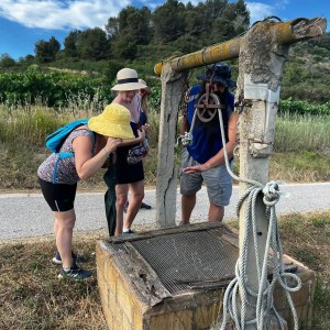 Edible & Medicinal Wild Plants tour