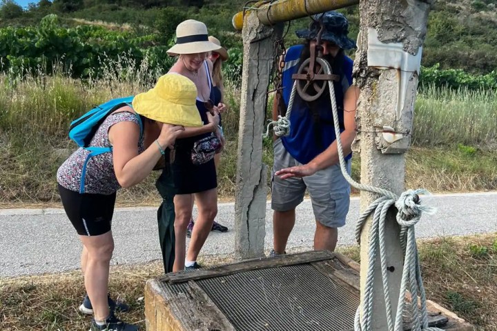 Edible & Medicinal Wild Plants tour