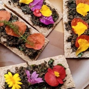 Edible & Medicinal Wild Plants tour