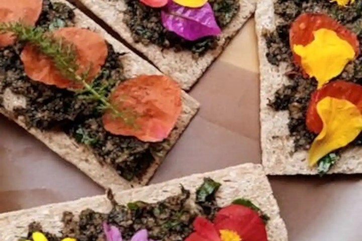 Edible & Medicinal Wild Plants tour