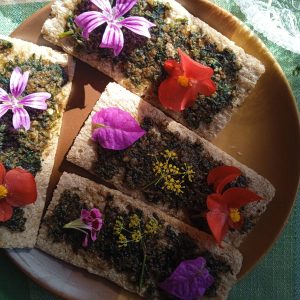 Edible & Medicinal Wild Plants tour