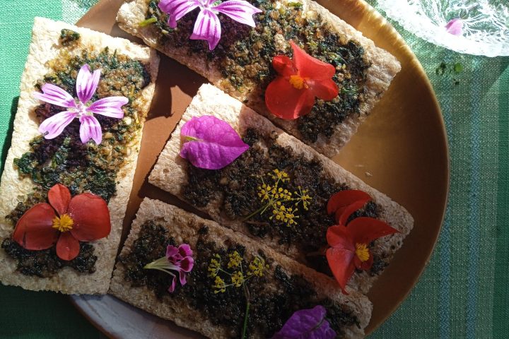 Edible & Medicinal Wild Plants tour