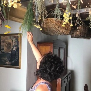 Edible & Medicinal Wild Plants tour