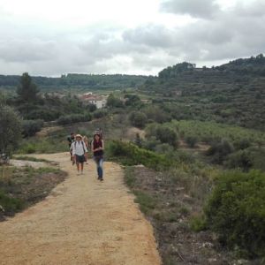 Edible & Medicinal Wild Plants tour