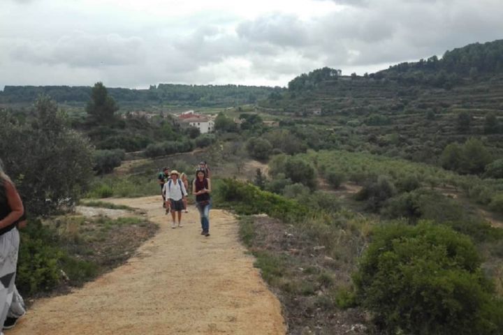 Edible & Medicinal Wild Plants tour