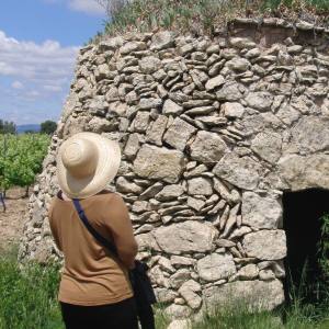 Edible & Medicinal Wild Plants tour