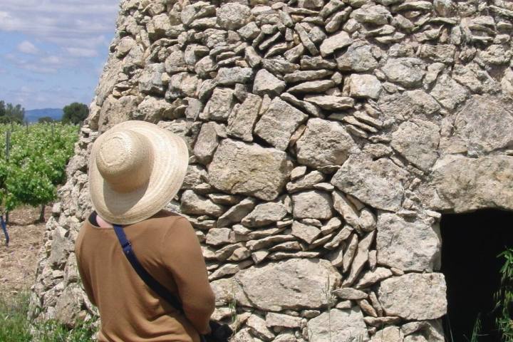 Edible & Medicinal Wild Plants tour