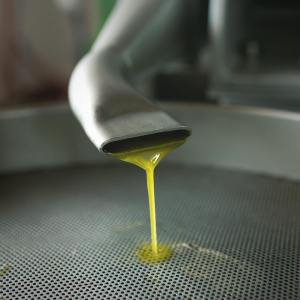 Málaga olive oil tour