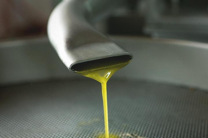 Málaga olive oil tour