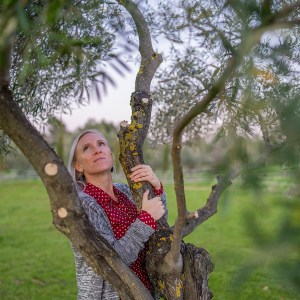 Málaga olive oil tour