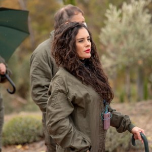 Málaga olive oil tour