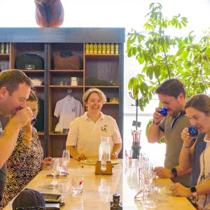 Málaga olive oil tour