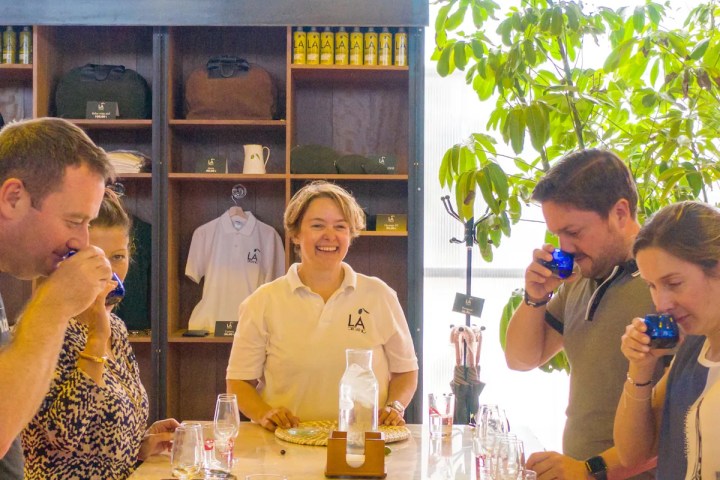 Málaga olive oil tour