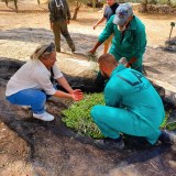 Málaga olive oil tour