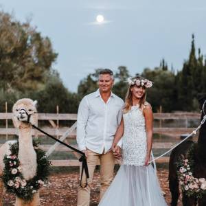 Mallorca Alpaca Tour