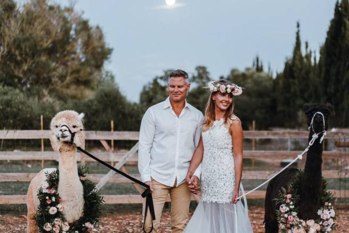 Mallorca Alpaca Tour