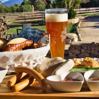 Mallorca Alpaca Tour