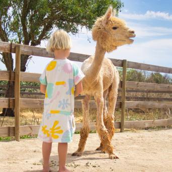 Mallorca Alpaca Tour