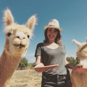 Mallorca Alpaca Tour