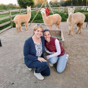 Mallorca Alpaca Tour