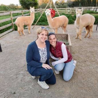 Mallorca Alpaca Tour
