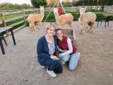 Mallorca Alpaca Tour