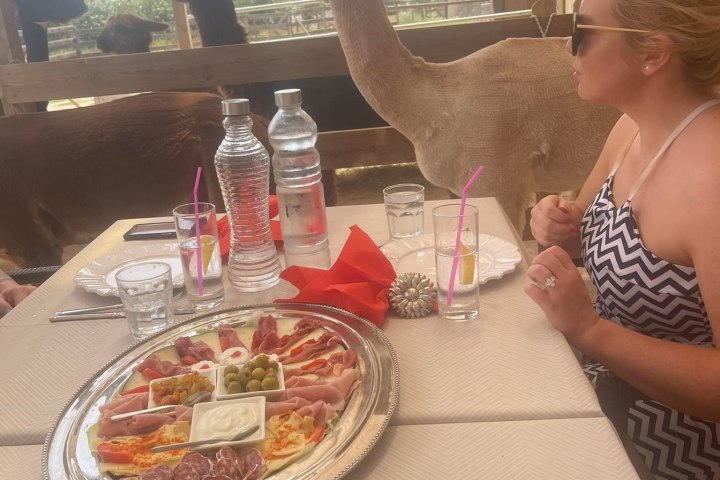 Mallorca Alpaca Tour