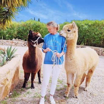 Mallorca Alpaca Tour