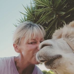 Mallorca Alpaca Tour