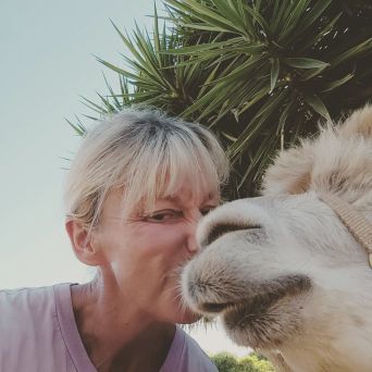 Mallorca Alpaca Tour