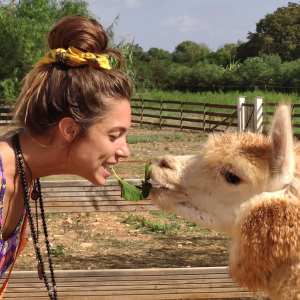Mallorca Alpaca Tour