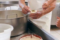 Mozzarella Farm Experience