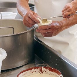 Mozzarella Farm Experience